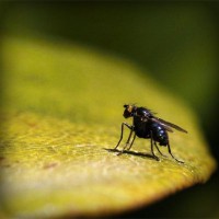 /album/clogaledcoun/photolia-a07-jpg/