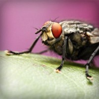 /album/clogaledcoun/photolia-a08-jpg/